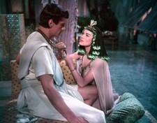 10 x The Egyptian Unsigned 10" x 8" photos  - Cast and Scene #3