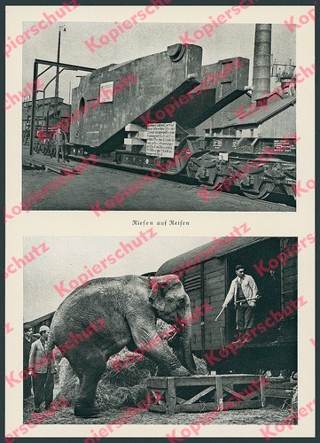 Deutsche Reichsbahn Transport Verladung Elefanten Dressur Zirkus Sarrasani 1939 - Bild 2 von 2