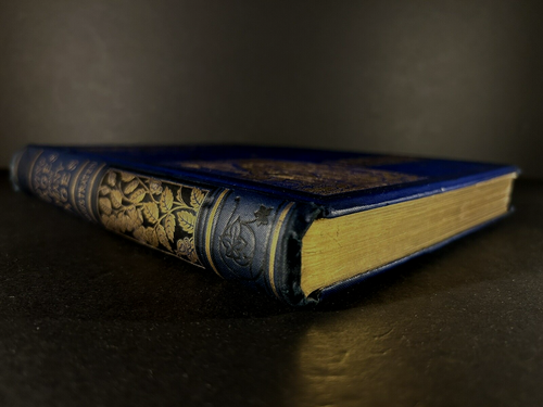 LIVING PAGES FROM MANY AGES Famous-Infamous World & Church Bios FINE BINDING1880 - Imagen 7 de 24