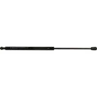 JP Group Gasfeder DäMpfer Heckklappe Hinten FüR Hyundai Getz TB 3581200700