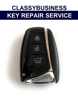 Hyundai Genesis Santa Fe Equus Azera Smart Fernbedienung Schlüsselanhänger Reparatur Batteriekoffer
