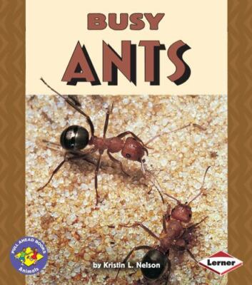 Busy Ants (Pull Ahead Books) by Nelson, Kristin L., Very Good Book