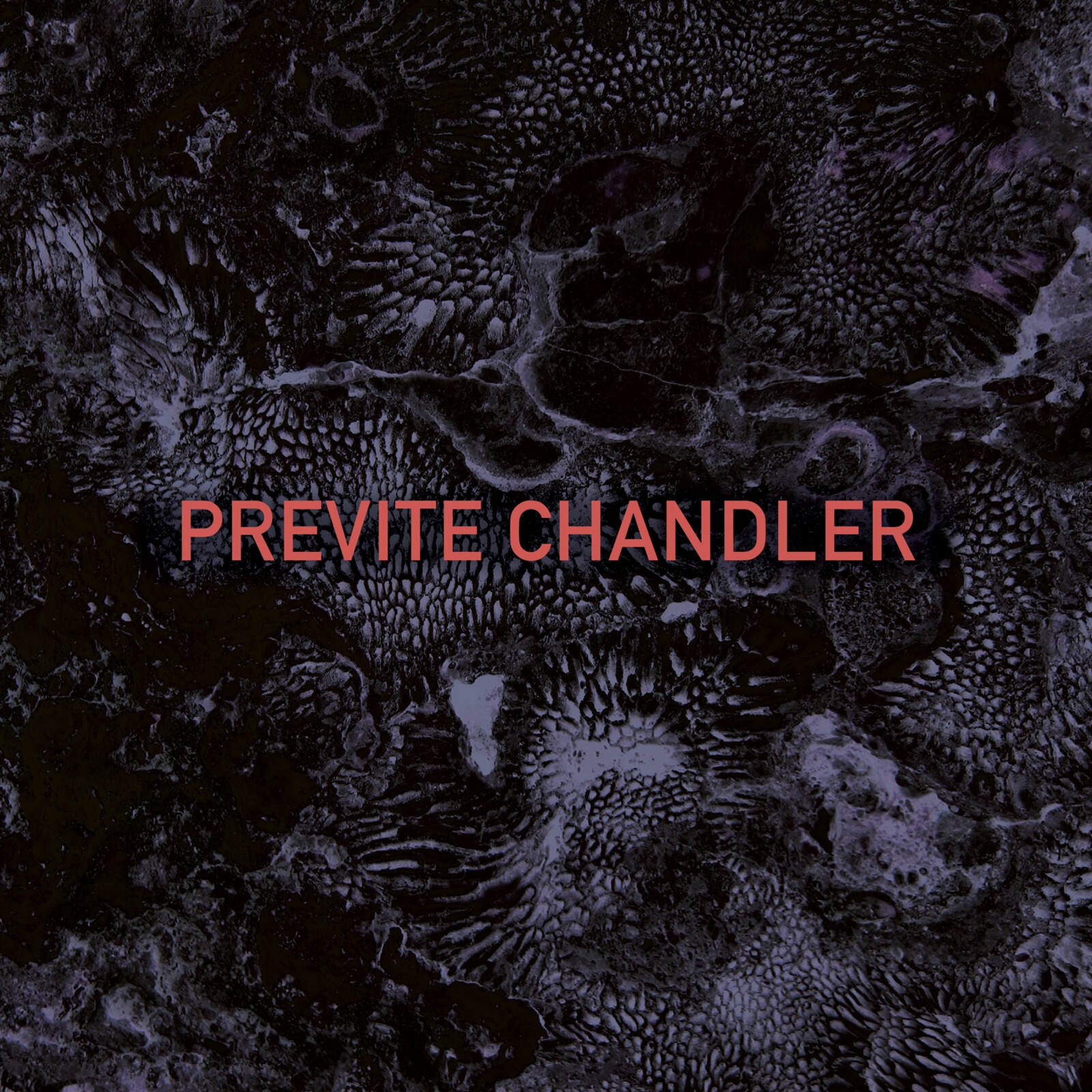 Previte Chandler Previte Chandler LP Vinile NUOVO