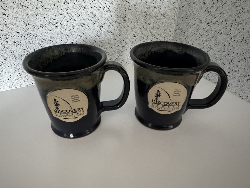 2 Sunset Hill Stoneware Mugs Albany Pine Bush Discovery Center, Blue And Brown