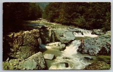 Vintage Postcard WA Fisherman's Paradise Waterfall c1953 Chrome ~11205