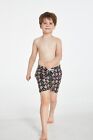 Foto 115 di 119