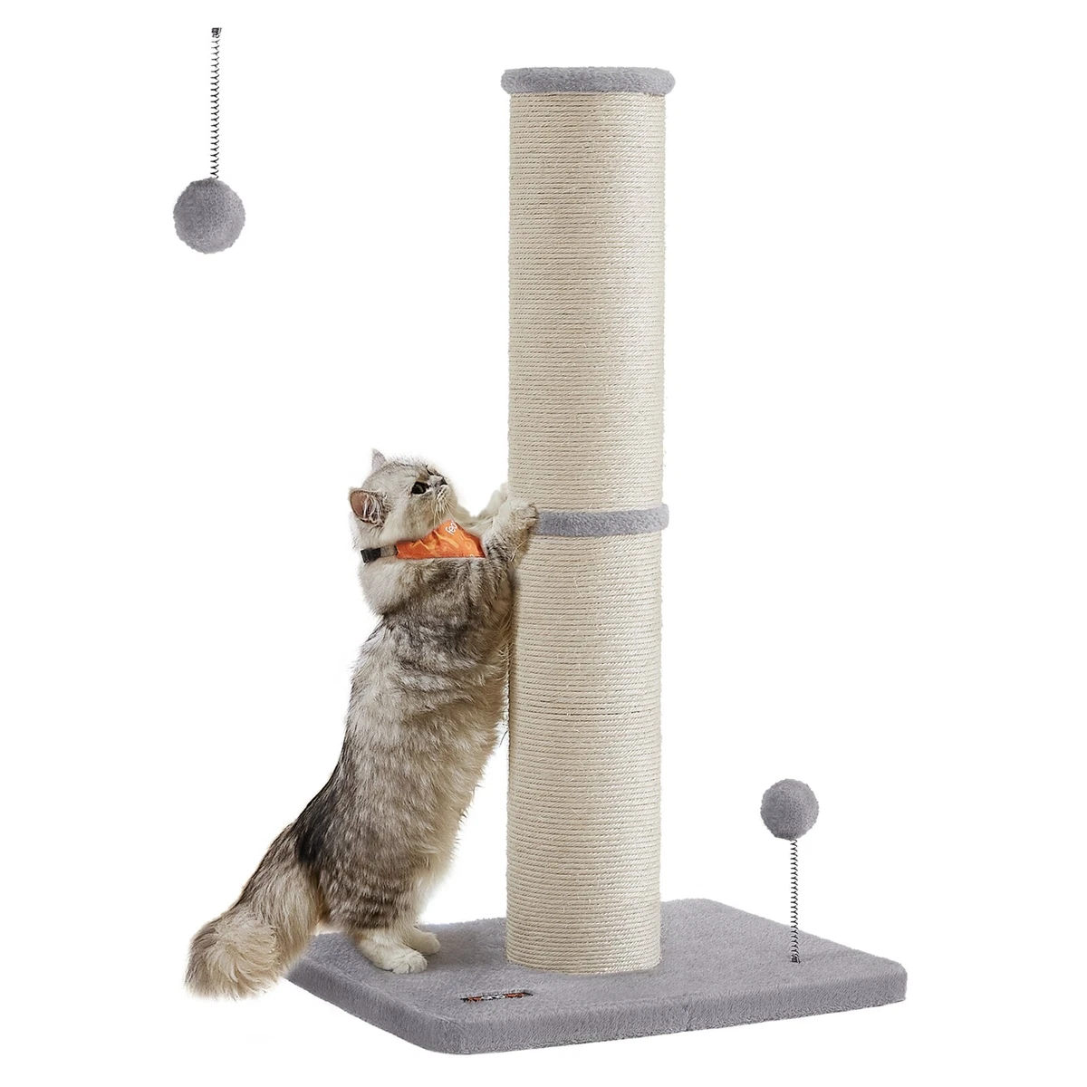 katzenstreu urinprobe Health Indicator Katzenstreu Urintest Harntest Katze Indikator Krankhe –  CatAmore