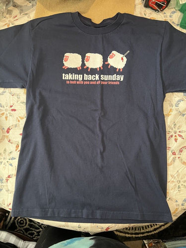 Taking Back Sunday To Hell With You And Your Friend T-Shirt Full Size S-5XL - Bild 1 von 3