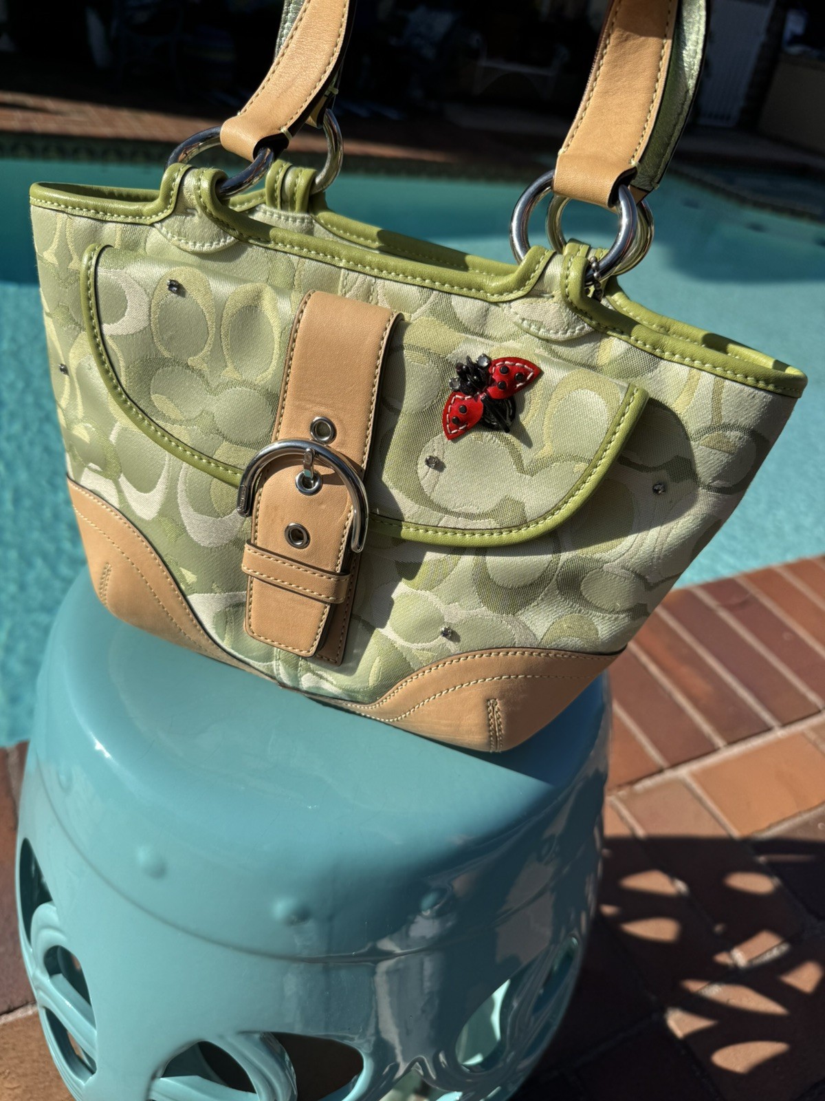 Limited edition Coach Lady Bug Purse with Swarovski Crystals Rare | eBay