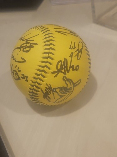 savannah Bananas team signed baseball 13 autographs signatures banana ball Auto - Picture 6 of 6