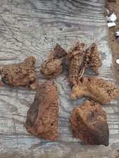 Natural Burl Wood Knot Decor 6 Pieces Knotty Vintage Lot 1