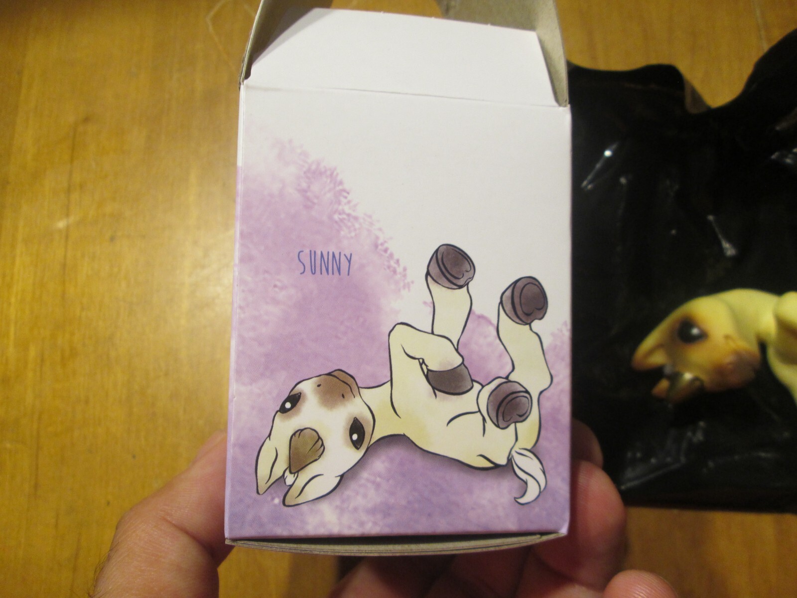 Miyo's Mystic  Musings LITTLE NIMBUS SUNNY NEW OPEN BOX TOYNAMI