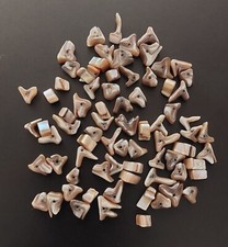 Natural Brown Mother Of Pearl Shell Beads Assorted Shapes For Jewelry Making