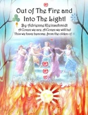 Out of The Fire and Into The Light!, Kleinschmidt 9781517569532 Free Shipping-,