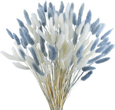 120Pcs Dried Bunny Tails Flowers Lagurus Ovatus Tail Dried Flowers Pampas Grass