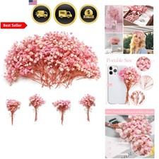 Dried Baby Breath Flowers Pink White Bouquets Bulk Wedding Decor Craft Supplies