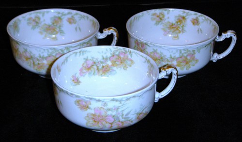 Rare Antique Haviland Limoges, France The Countess Schleiger #69 Fine Dinnerware - Picture 121 of 329