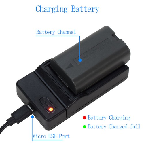Batteria/Caricabatterie per Panasonic CGR-D120 CGR-D210 CGR-D220 CGR-D320 PV-DV51 DV53 - Foto 39 di 49