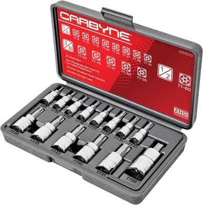 CARBYNE 14-Piece Tamper Proof Torx Bit Socket Set, Security Torx TT8 to TT60, S2