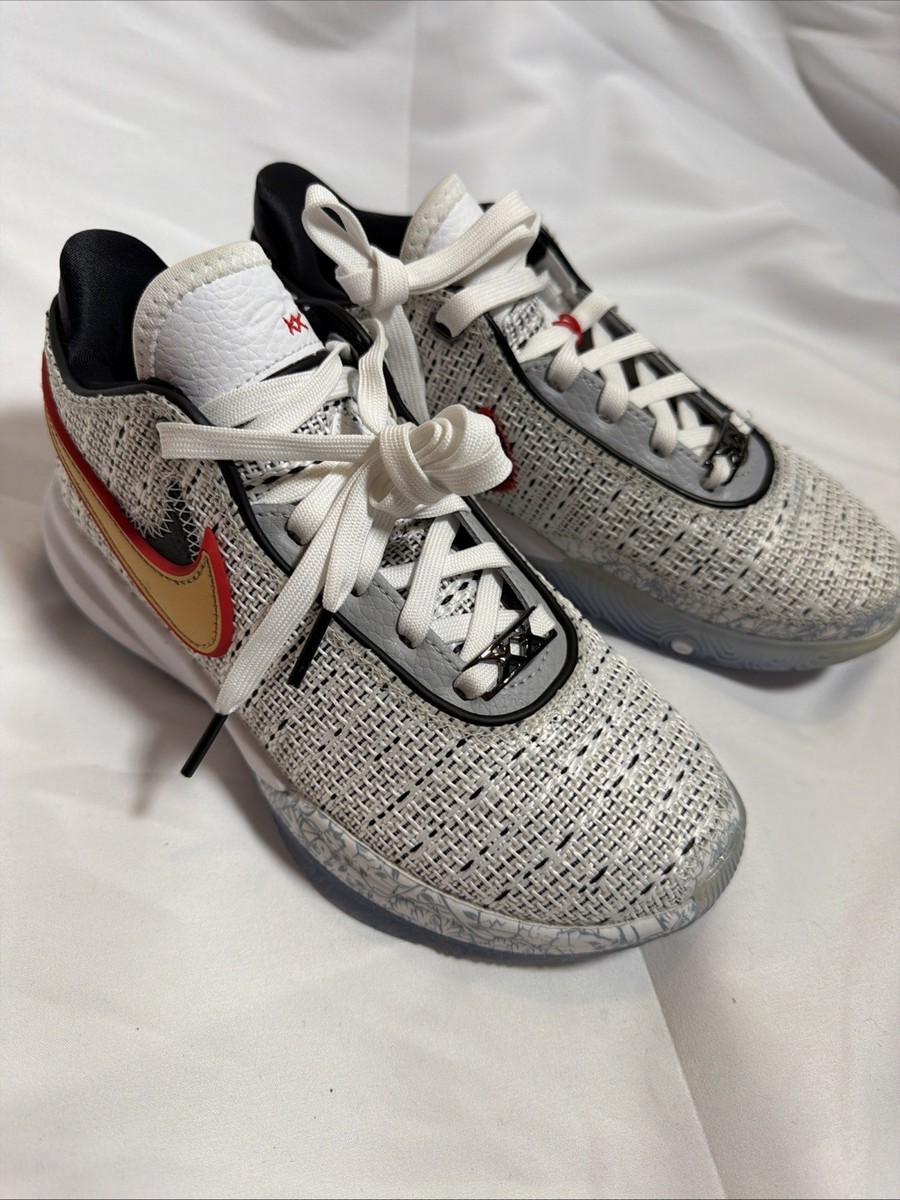 シューズ(男性用) Nike Lebron 20 \