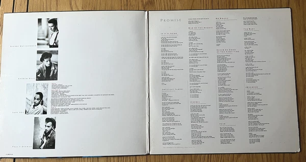 SADE PROMISE , RARE AVEC SON TITRE en rouge, VINYLE 33T LP E.O 1985 HOLLAND - Photo 2/4