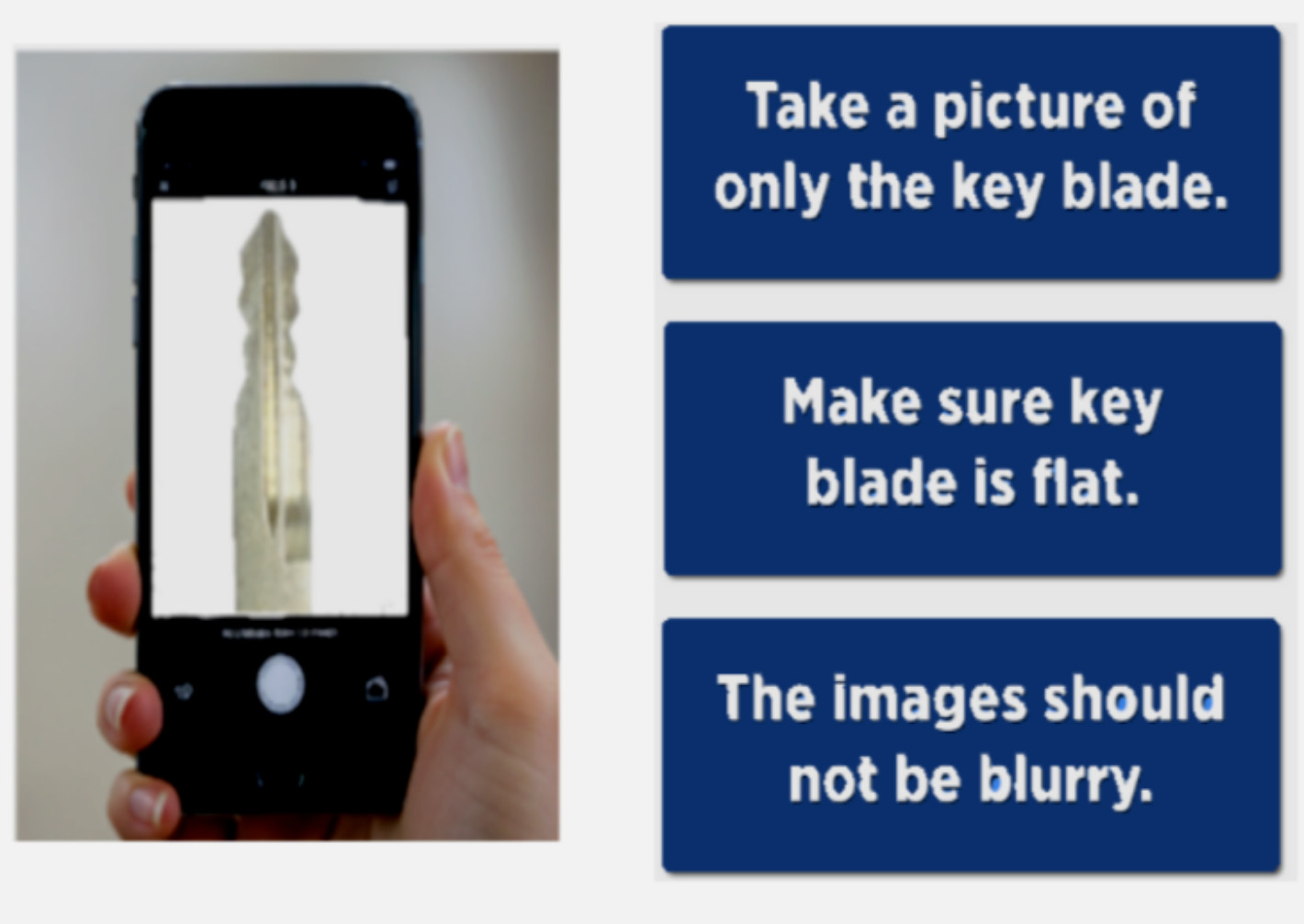 KEY CUT SERVICE + New Toyota / Scion TOY44D Dot Transponder Key Blank