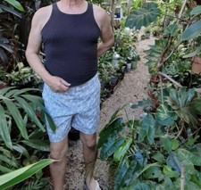 Original Penguin By Munsingwear Men's Swim Trunks 38 Gray Green