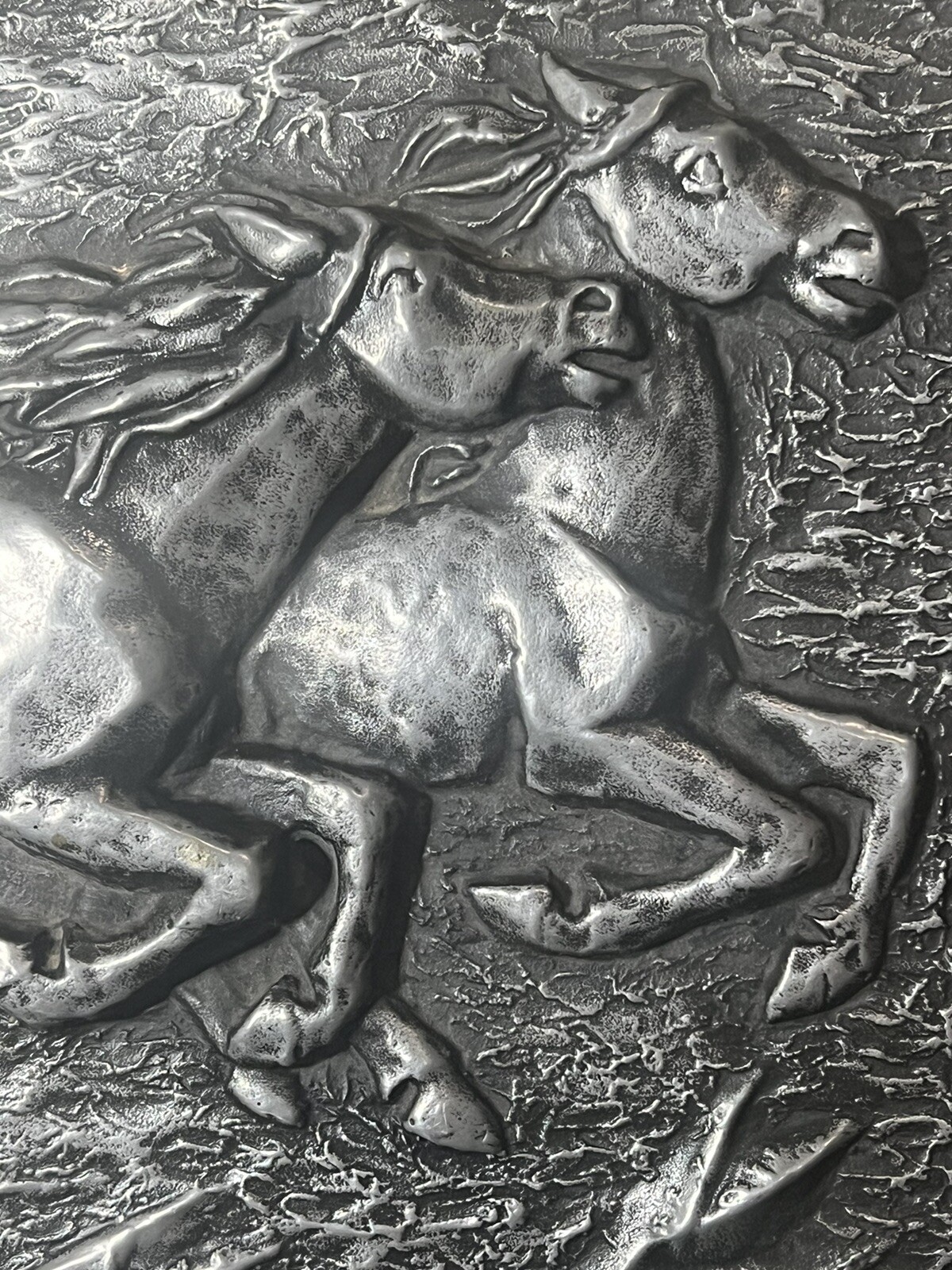 Picture 5 of 11