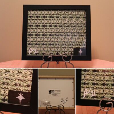 MedMJ Caduceus 3-D Stereogram Author Signed Framed Art Print, 420 Art 8''x10''x1''