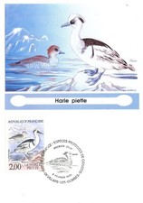MAXIMAPHILIE / CARTE MAXIMUM PREMIER JOUR / FAUNE /  HARLE PIETTE 1993