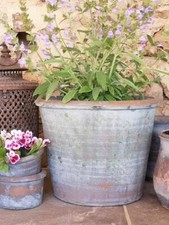 Vintage Tulip Pot, Rustic Weathered Garden Planter Terracotta Bulb Plant Pot