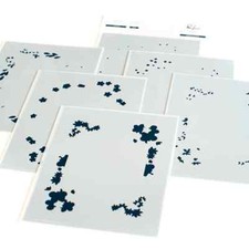 Pink Fresh HIGH QUALITY STENCILS - IN MY HEART - 6 PCS