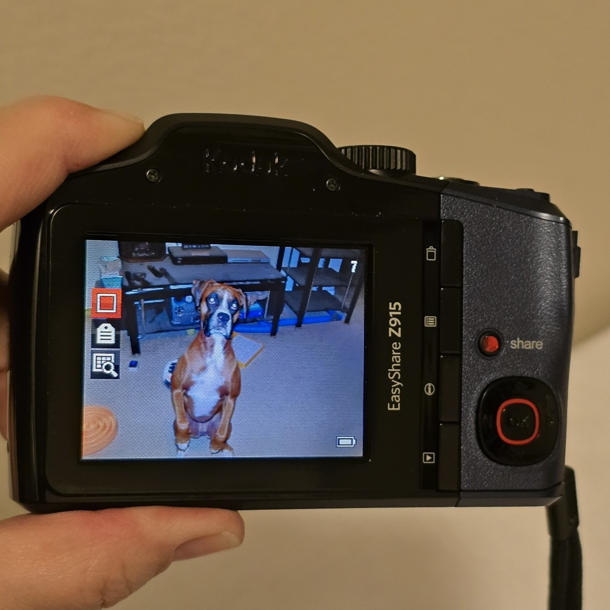 Kodak EasyShare Z915 10MP 10X Optical Zoom Digital Camera Bundle