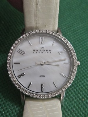 Ladies Skagen 922SSLW8A Wrist watch