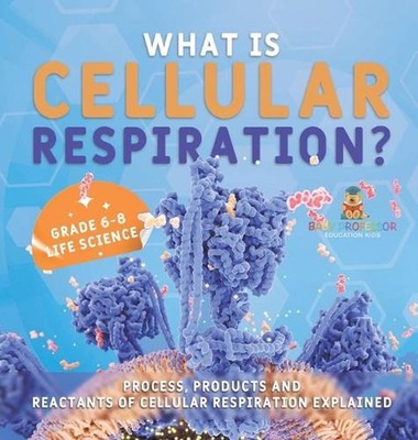What is Cellular Respiration? Process, Products and Reactants of Cellular Respir