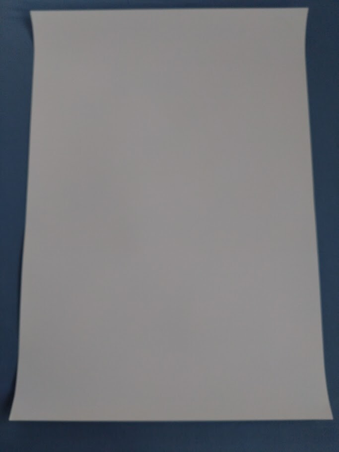Picture 6 of 6