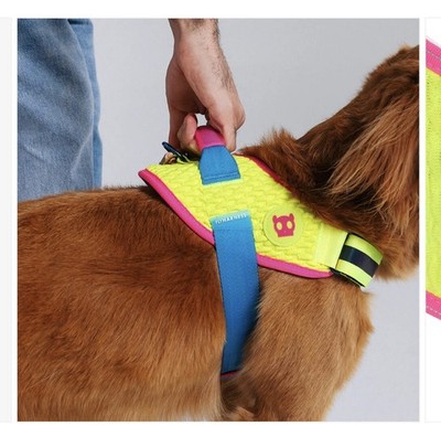 Zeedog Hundegeschirr