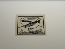 ‘White Wagtail’- Framed Woodcut Bird By Raphael Nelson, 1940s