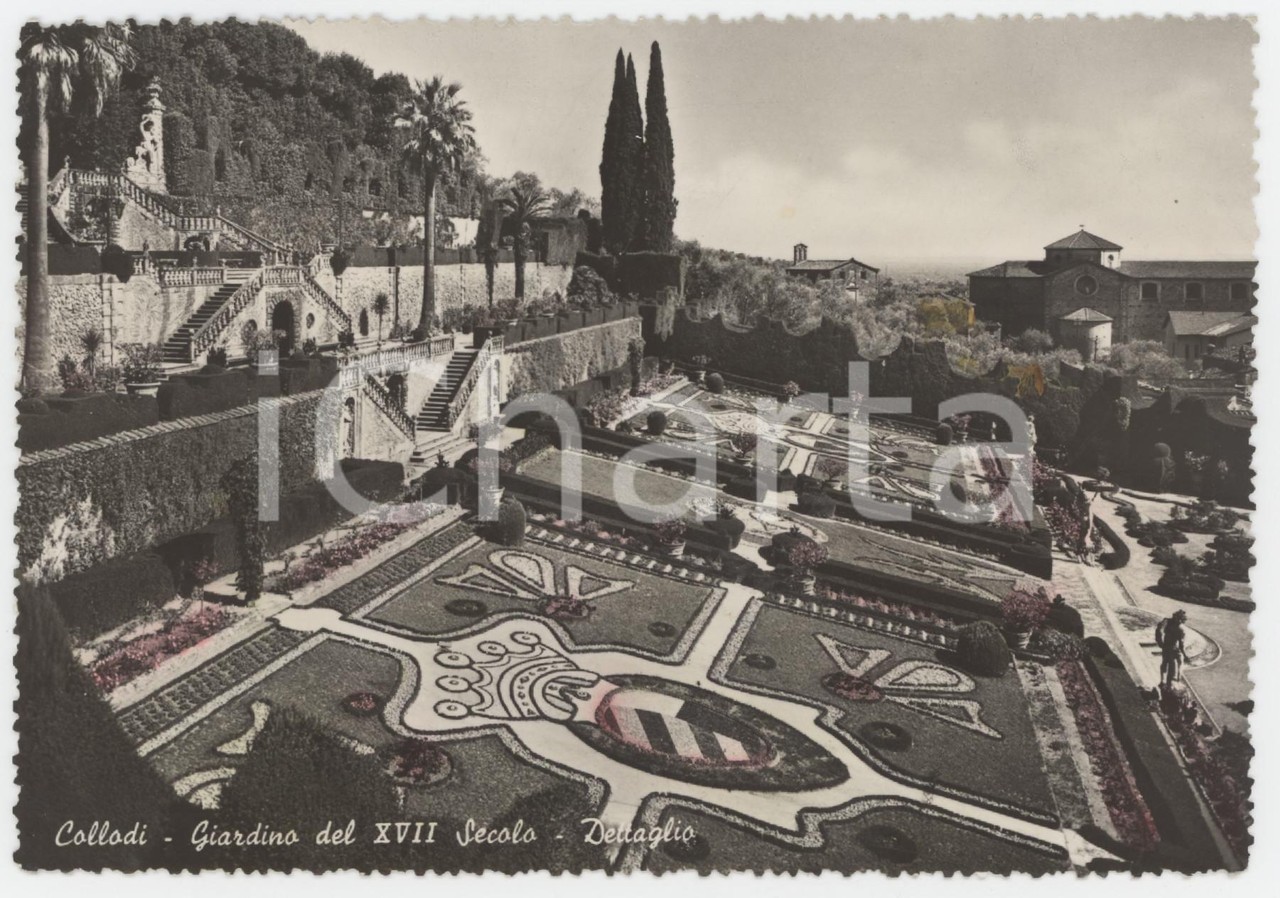 1960 ca COLLODI Dettaglio del Giardino di Villa Garzoni - Cartolina FG NV