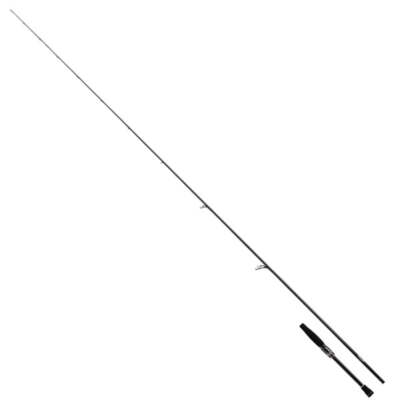 Daiwa Steez Real Control S68MH-SV (Spinning 2 piece) | eBay