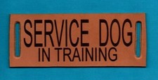 SERVICE DOG IN TRAINING Leather Lead service dog lead vest patch