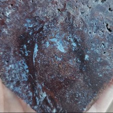 Red Moss Agate Slab - Maroon, Brown, and Blue