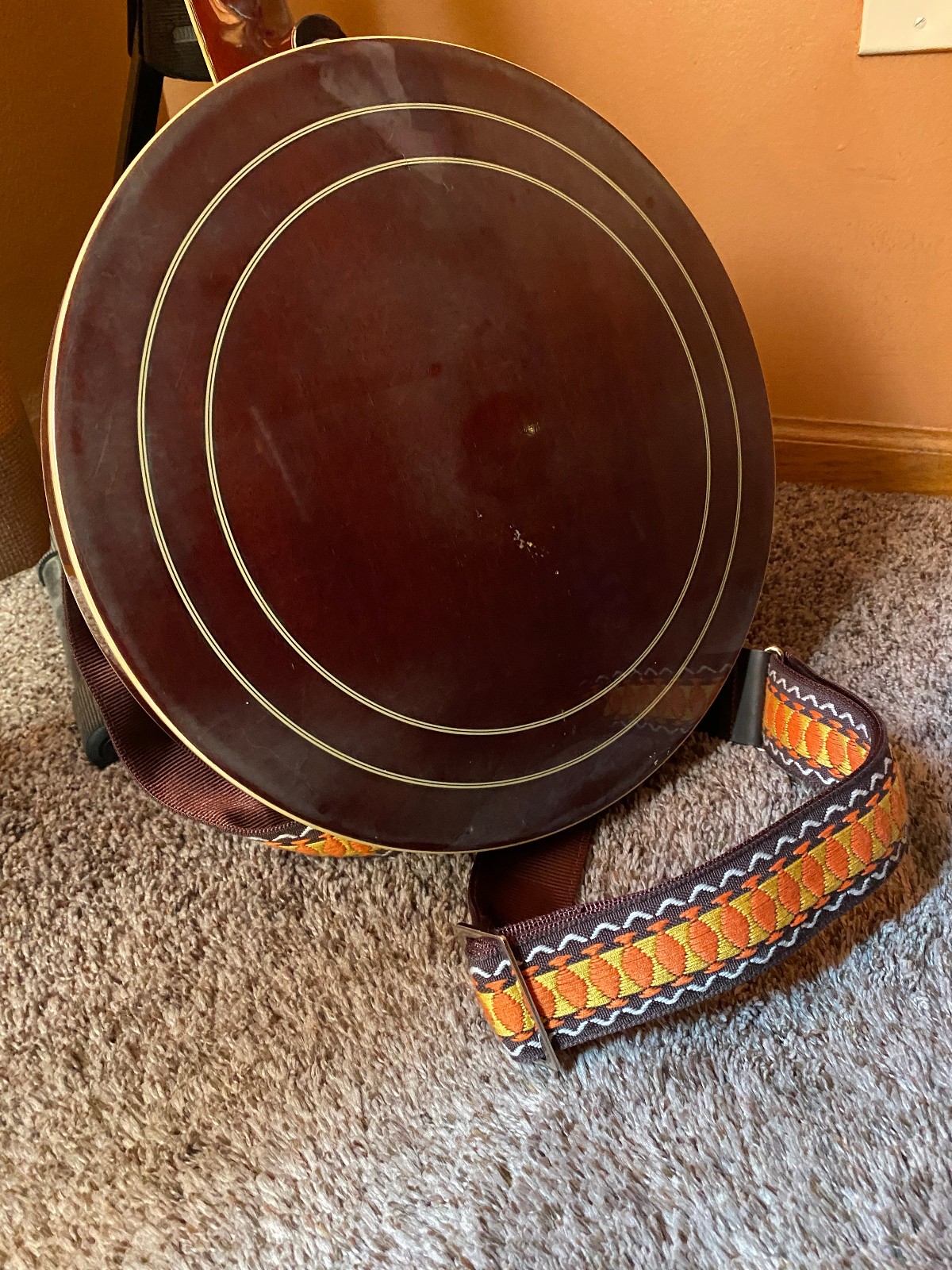 Alvarez Silver Belle 5-string banjo w/hard case | eBay