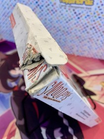 Snoopy's Silly Sports Spectacular! Nes Cib