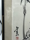 Foto 7 di 14