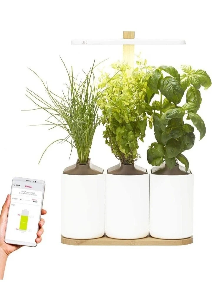 Mini grow 2024 light garden