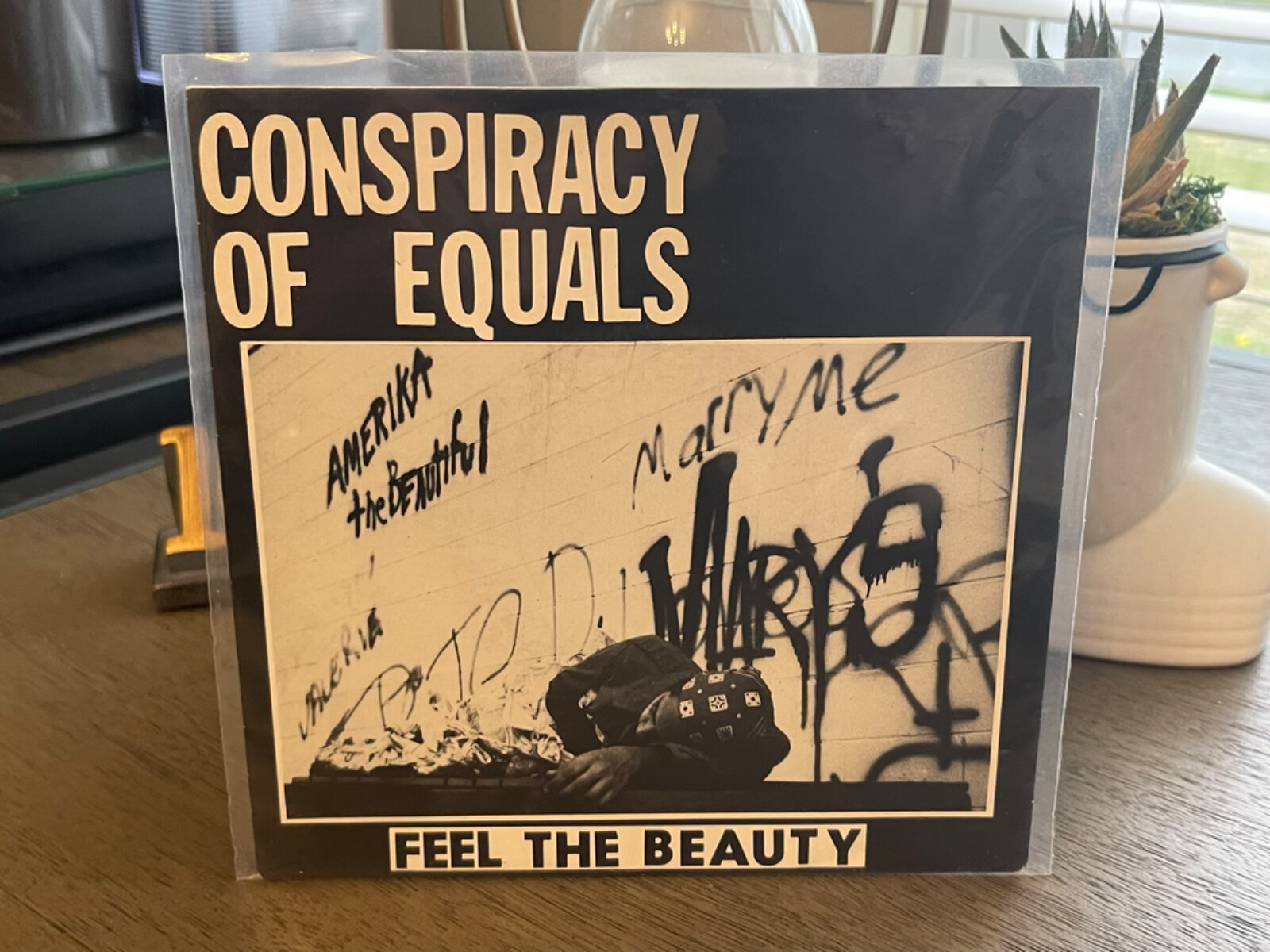 Conspiracy Of Equals feel the beauty 7" blue vinyl punk hc old world eBay