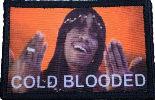 Fifth Element Leeloo Dallas MultiPass Morale Patch Tactical Military Army - Picture 12 of 12