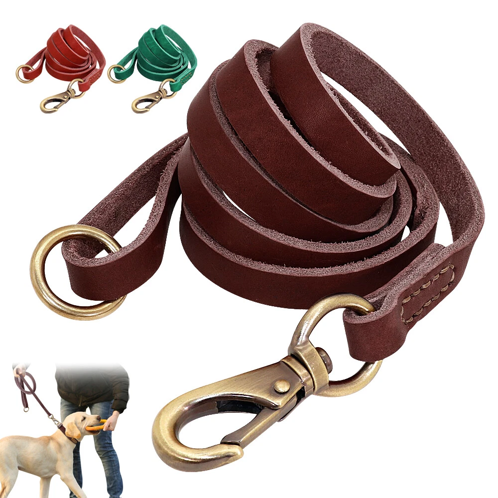 Dog leads for clearance large dogs