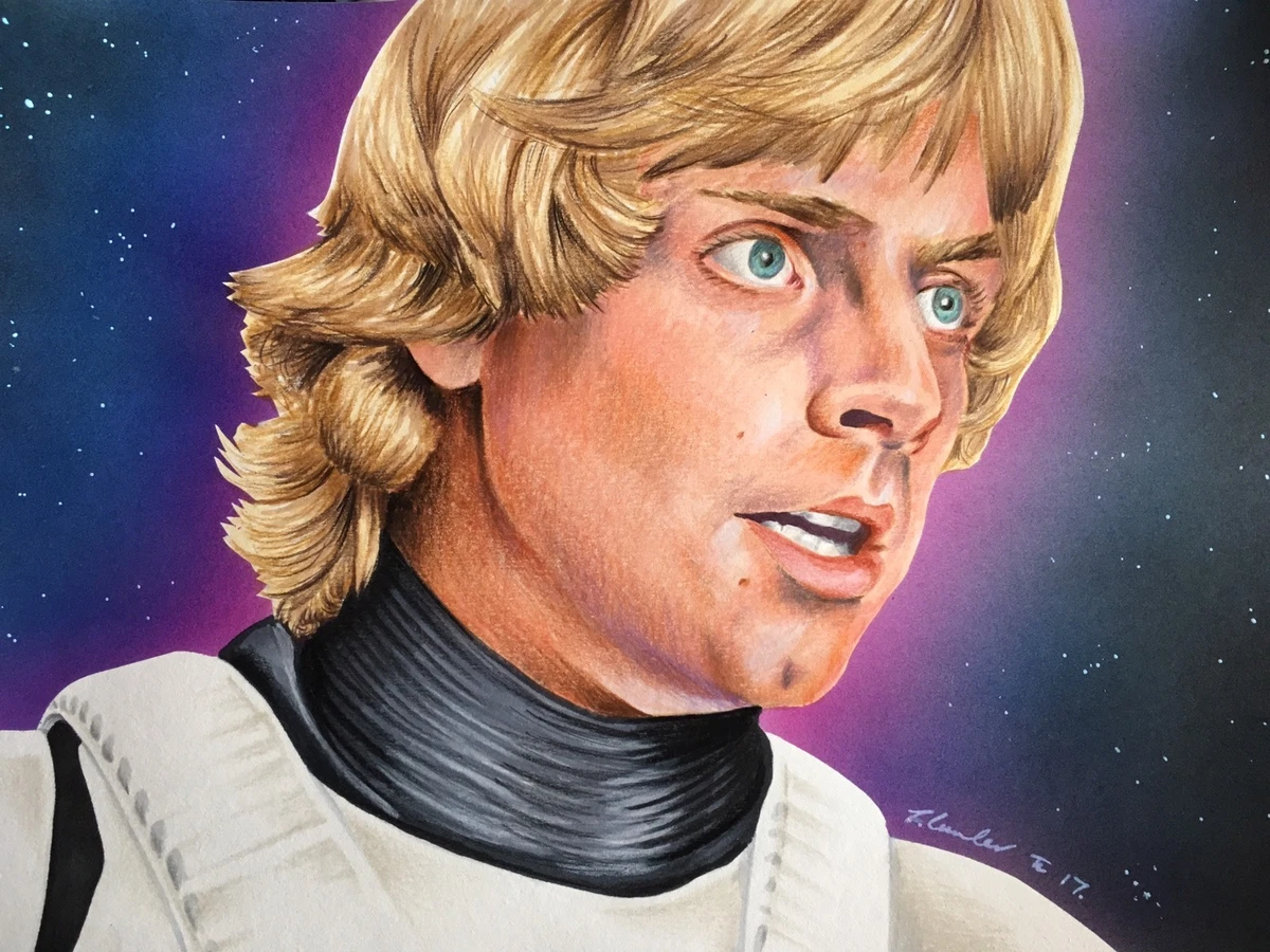 Pin by Brisa bernardet on star wars  Mark hamill, Star wars luke  skywalker, Star wars art